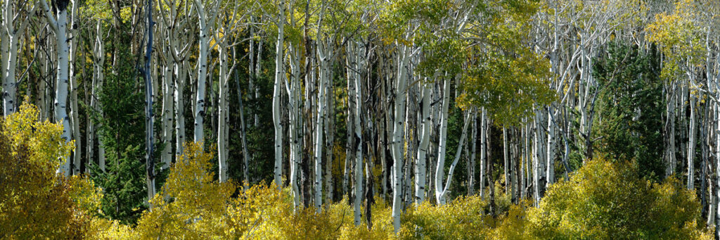 Boulder - Utah, USA