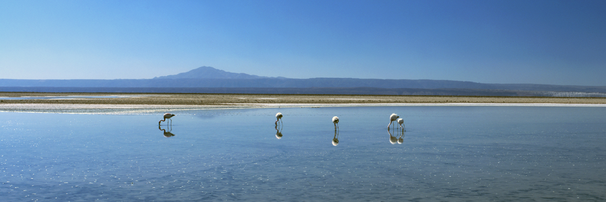 Chile