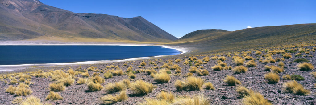 Atacama Desert - Chile