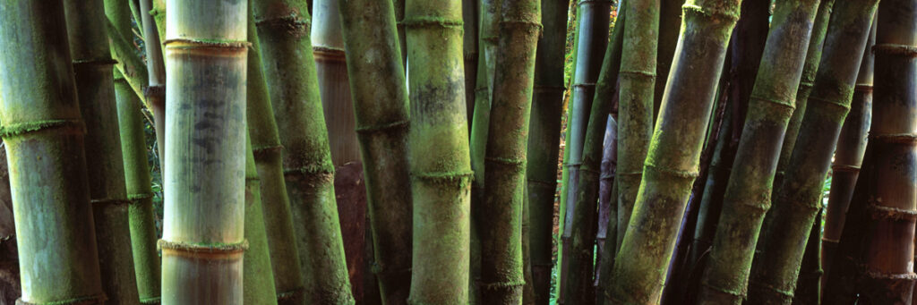 Garden of Eden - Maui, Hawai